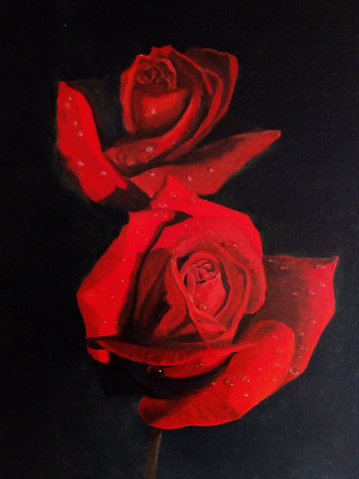 rose