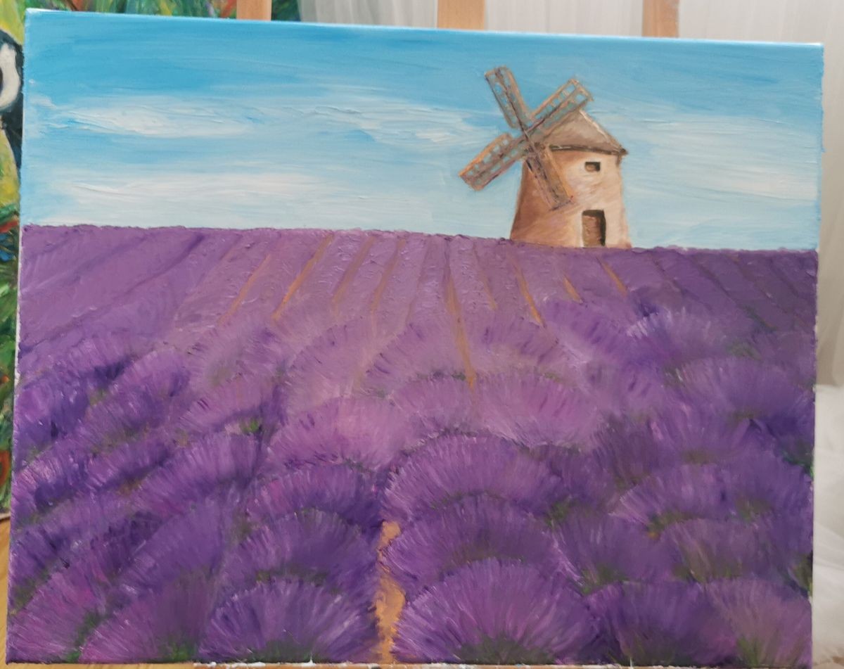 Lavander field, Provence