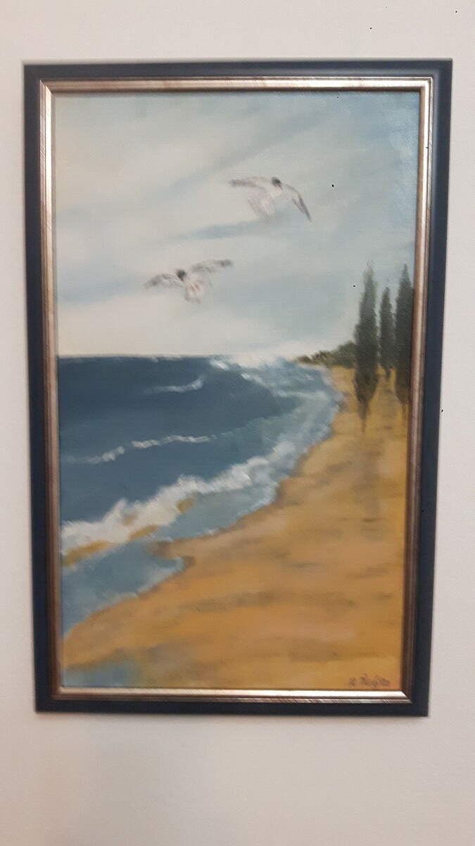 Two seagulls