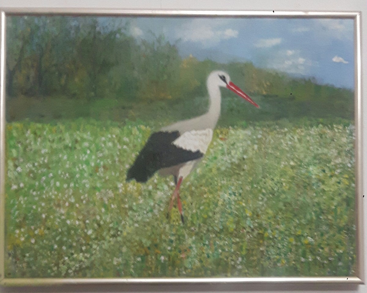 Bird