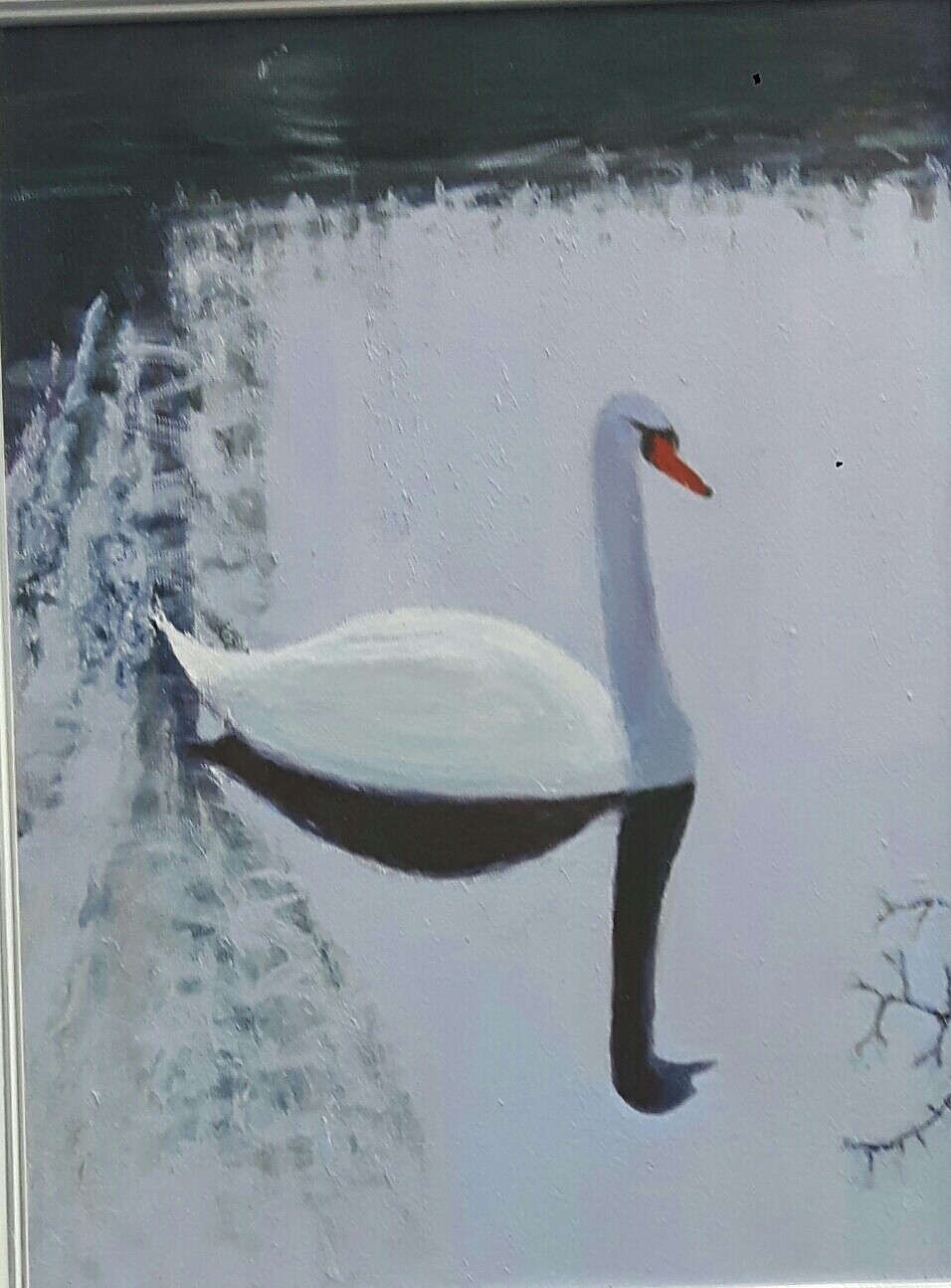 Swan