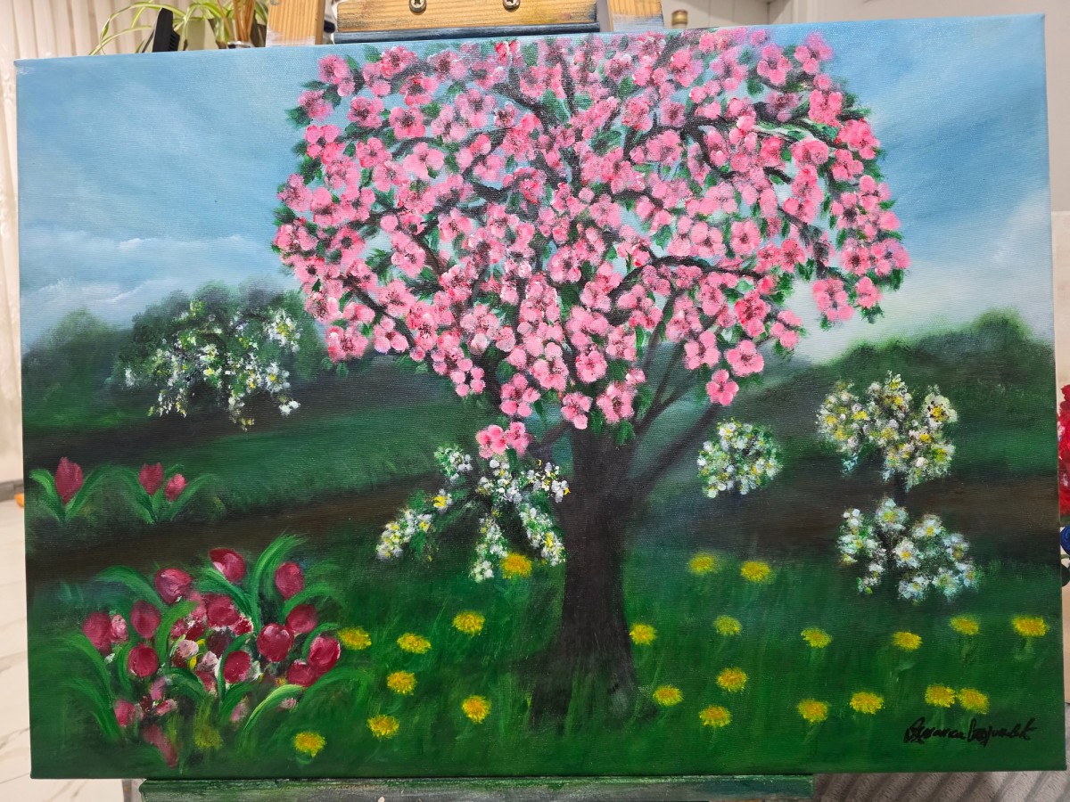 Spring in my area