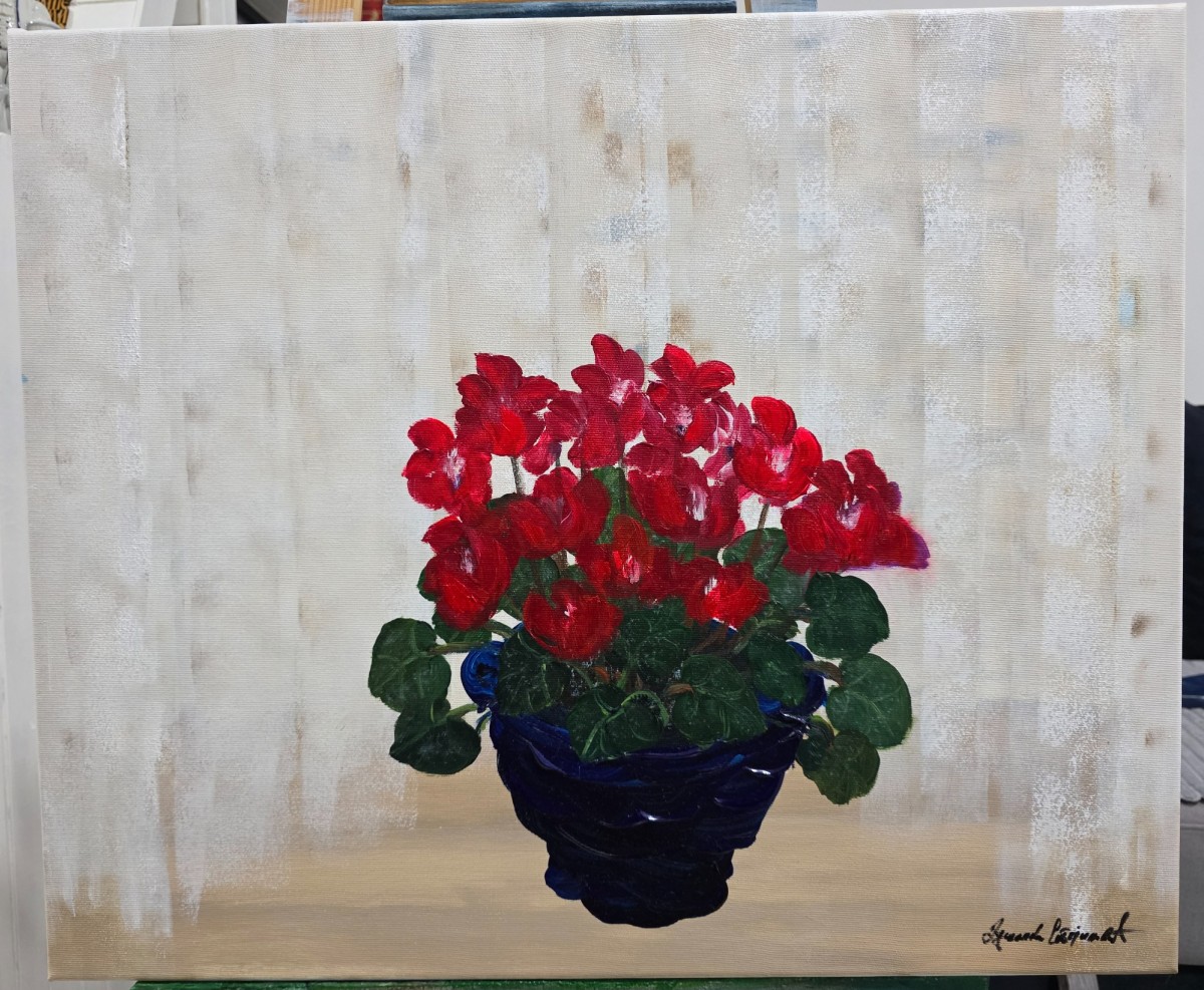 Begonia