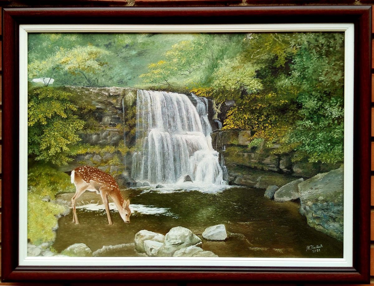 A fawn on the river