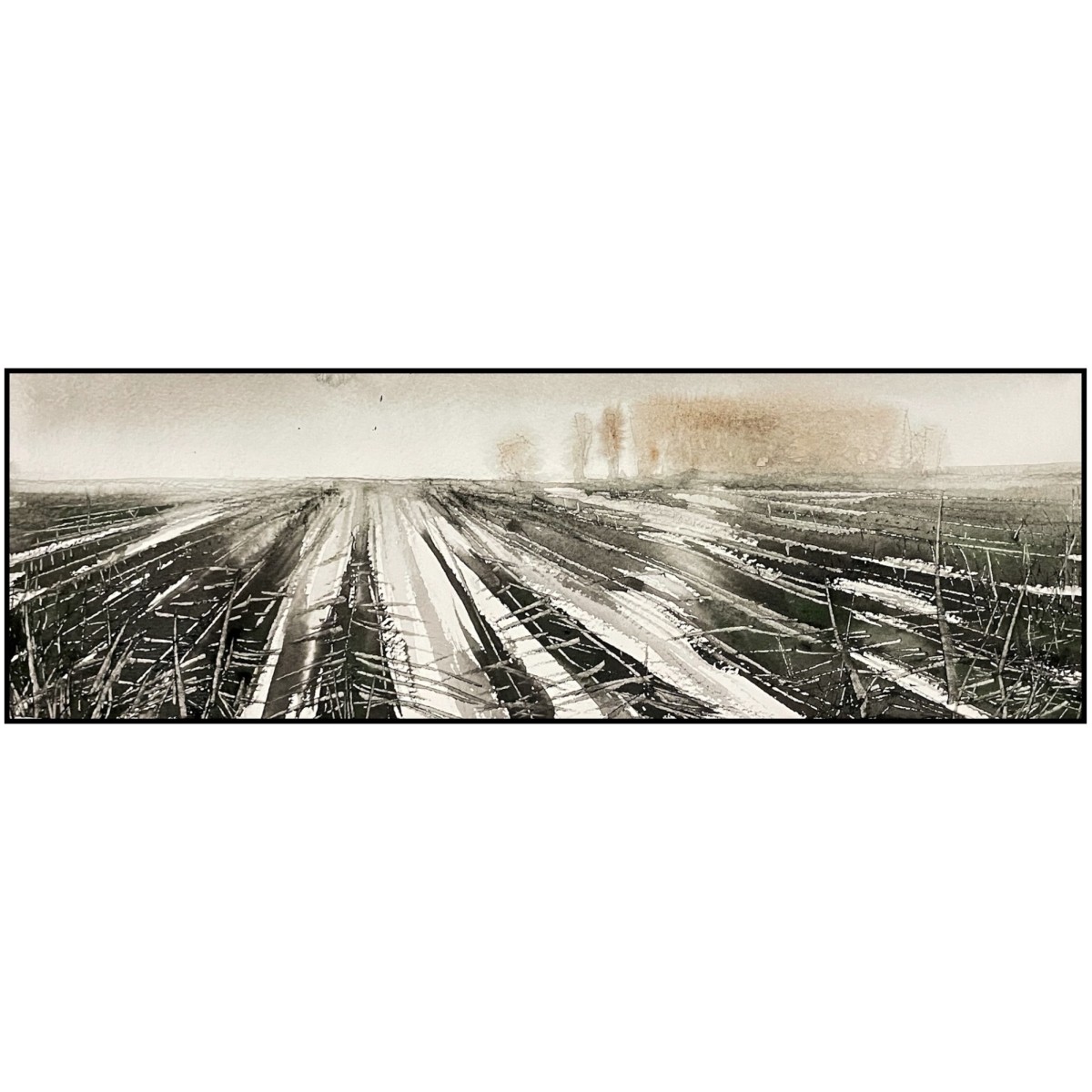 The Field