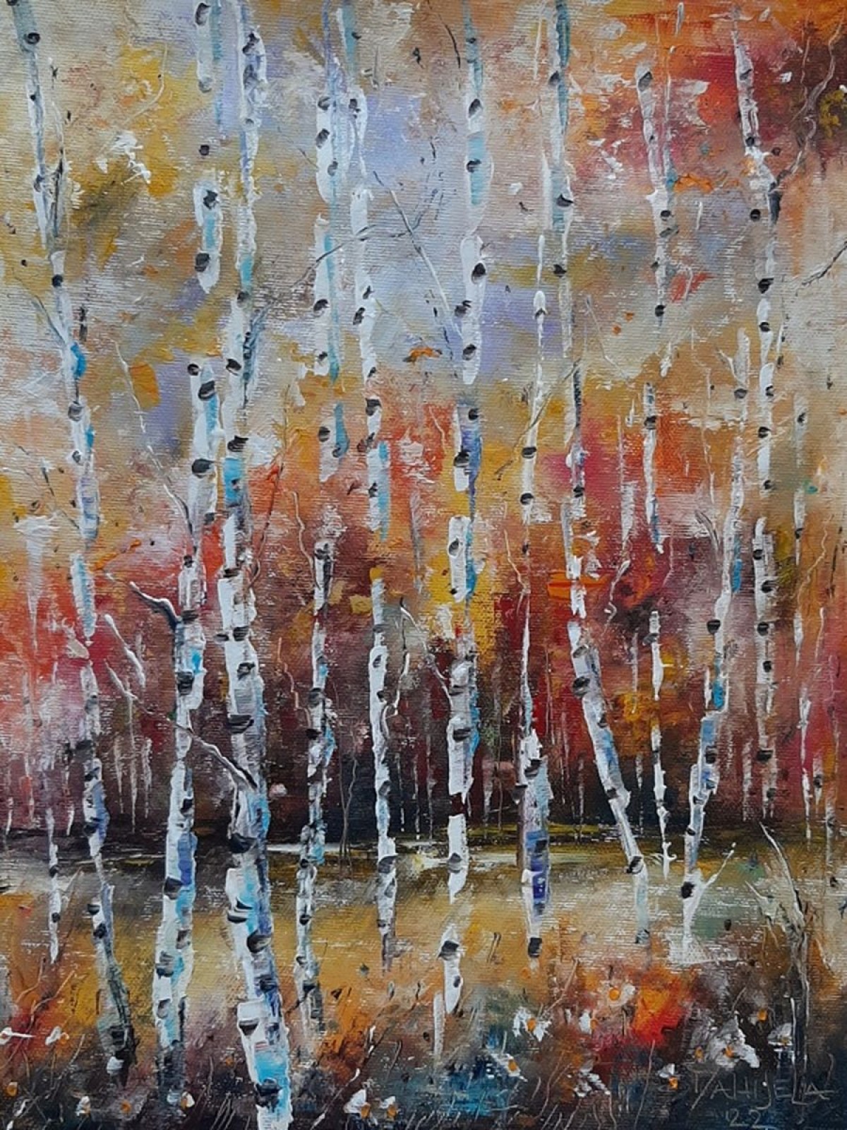 Birch forest in autumn