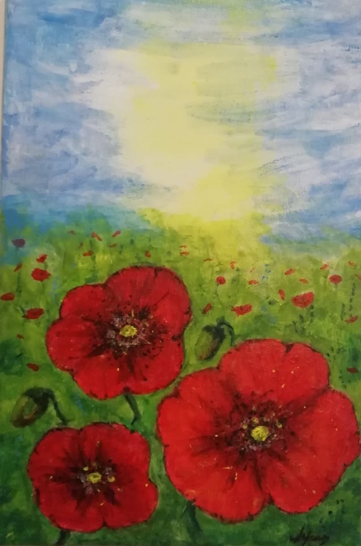 Poppies