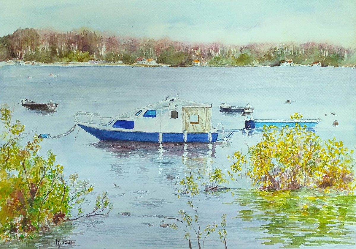MOTIF FROM THE DANUBE