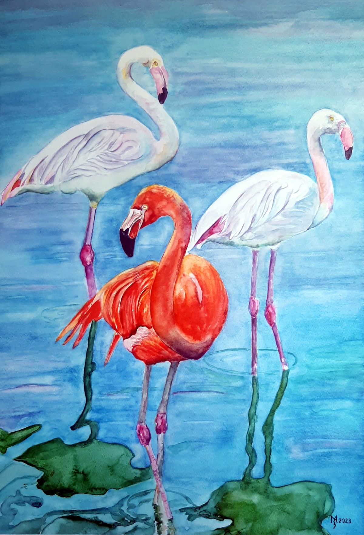 FLAMINGOS