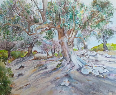 OLD OLIVES by Mihajlovic Zoran