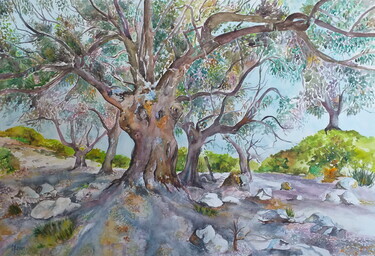 OLD OLIVES II by Mihajlovic Zoran