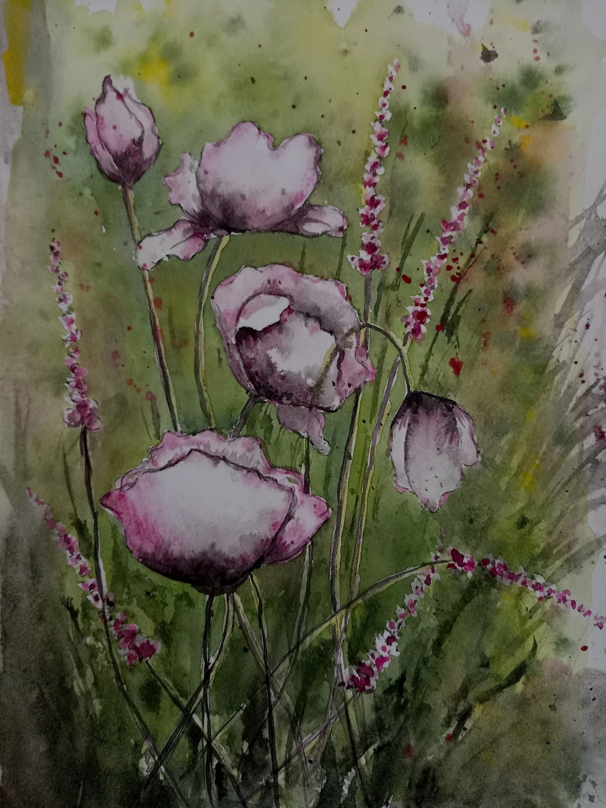Roze livadsko cvece