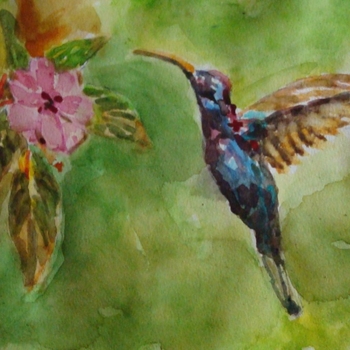 Kolibri, autor Nelson Chale Cuéllar