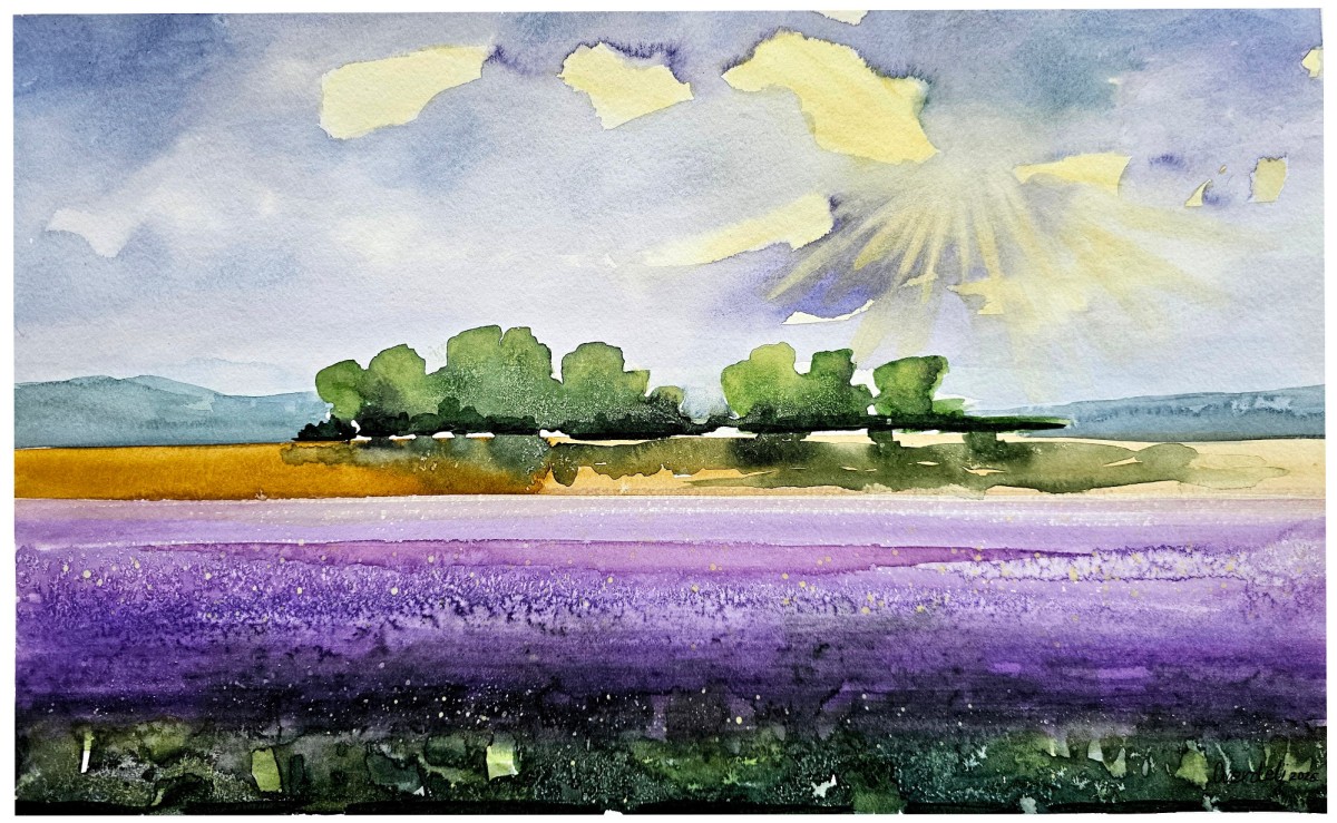 POLJE LAVANDE