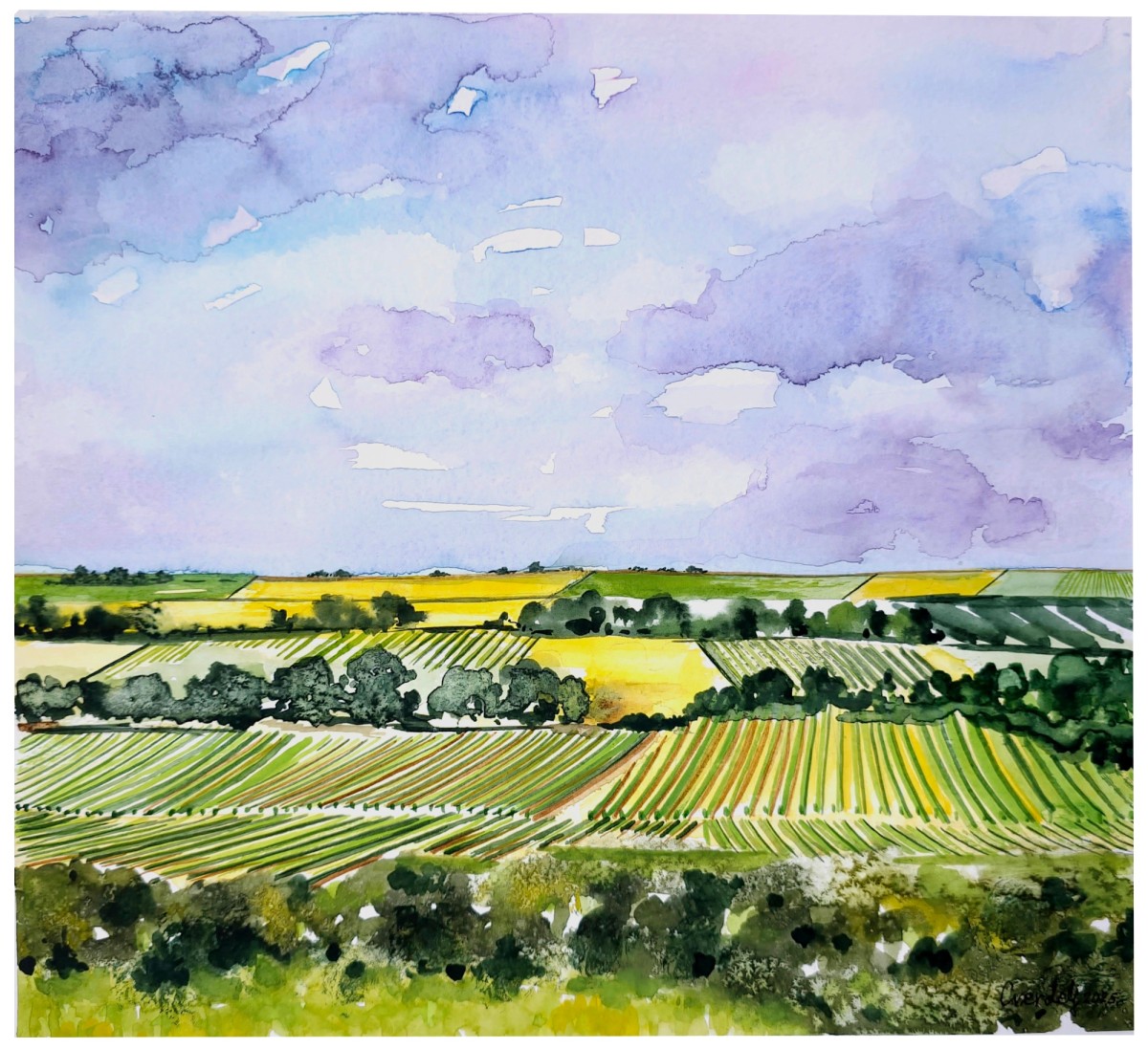 VINOGRAD