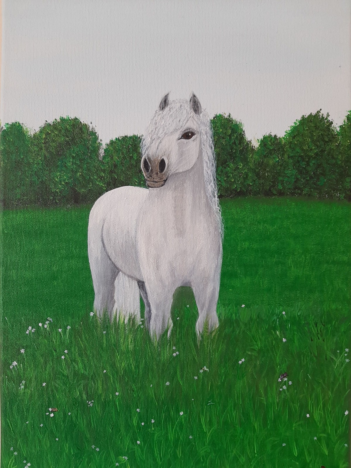 White horse