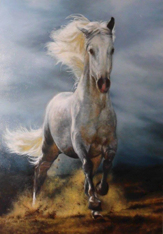 Horse- oil on  canvas 60x80cm