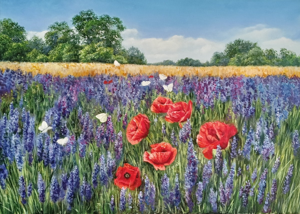 Poppies in Lavender Field