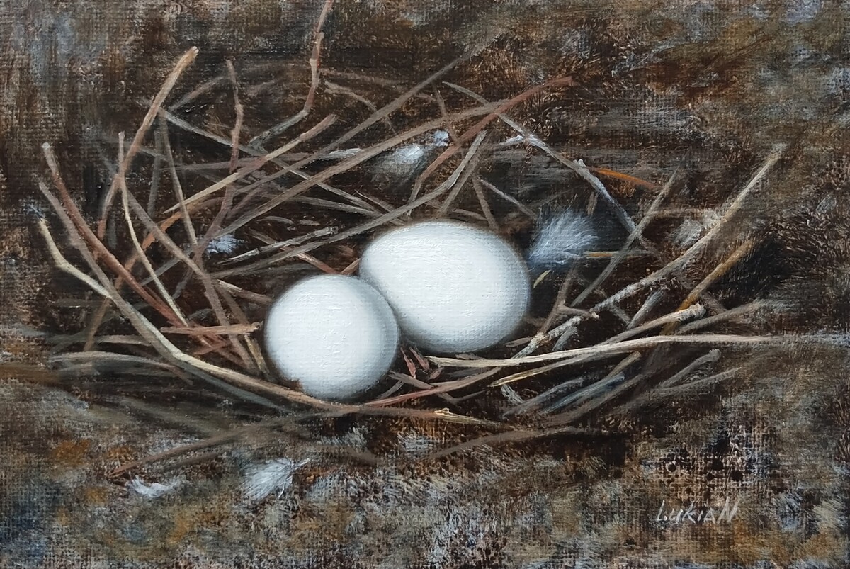 The nest