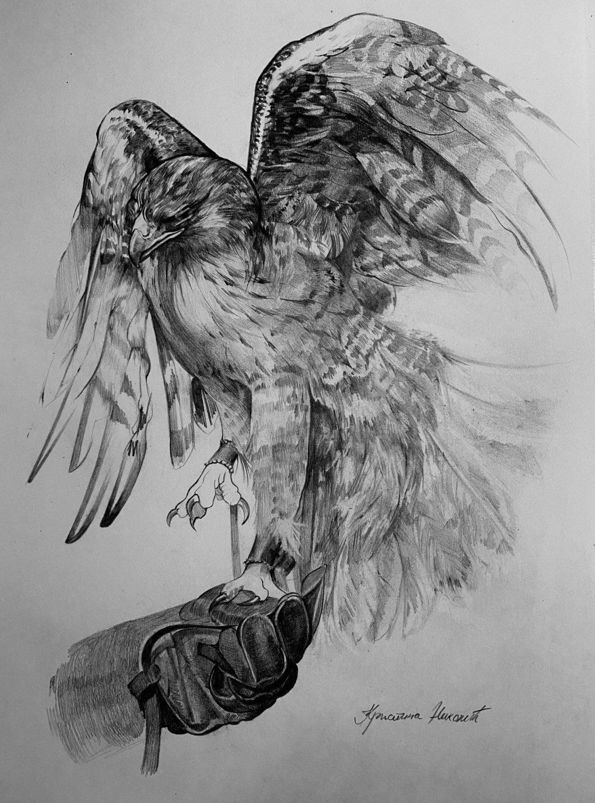 Falcon
