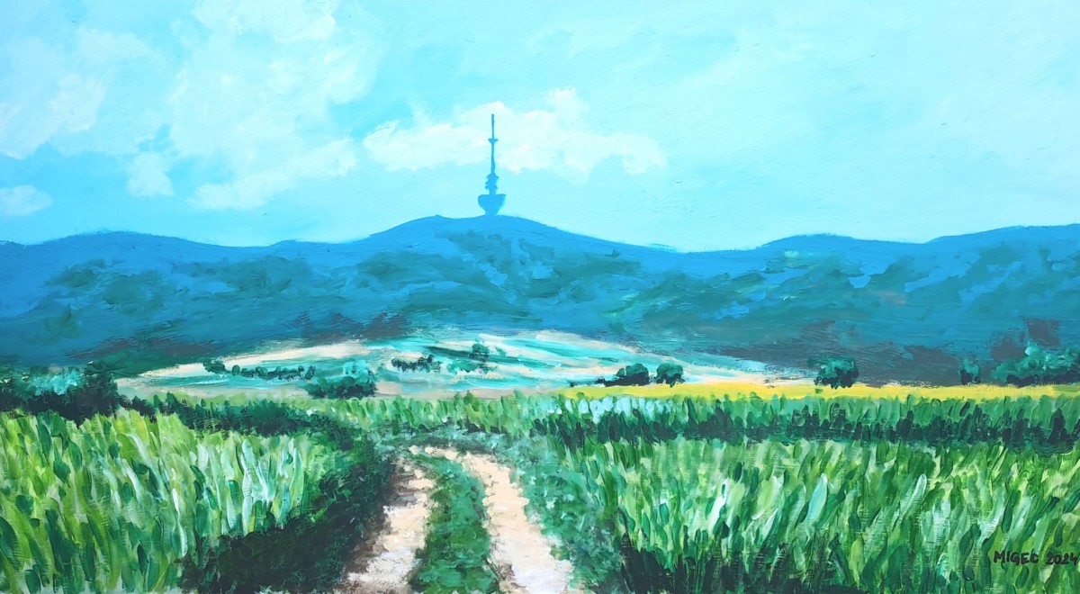 VIEW OF FRUSKA GORA