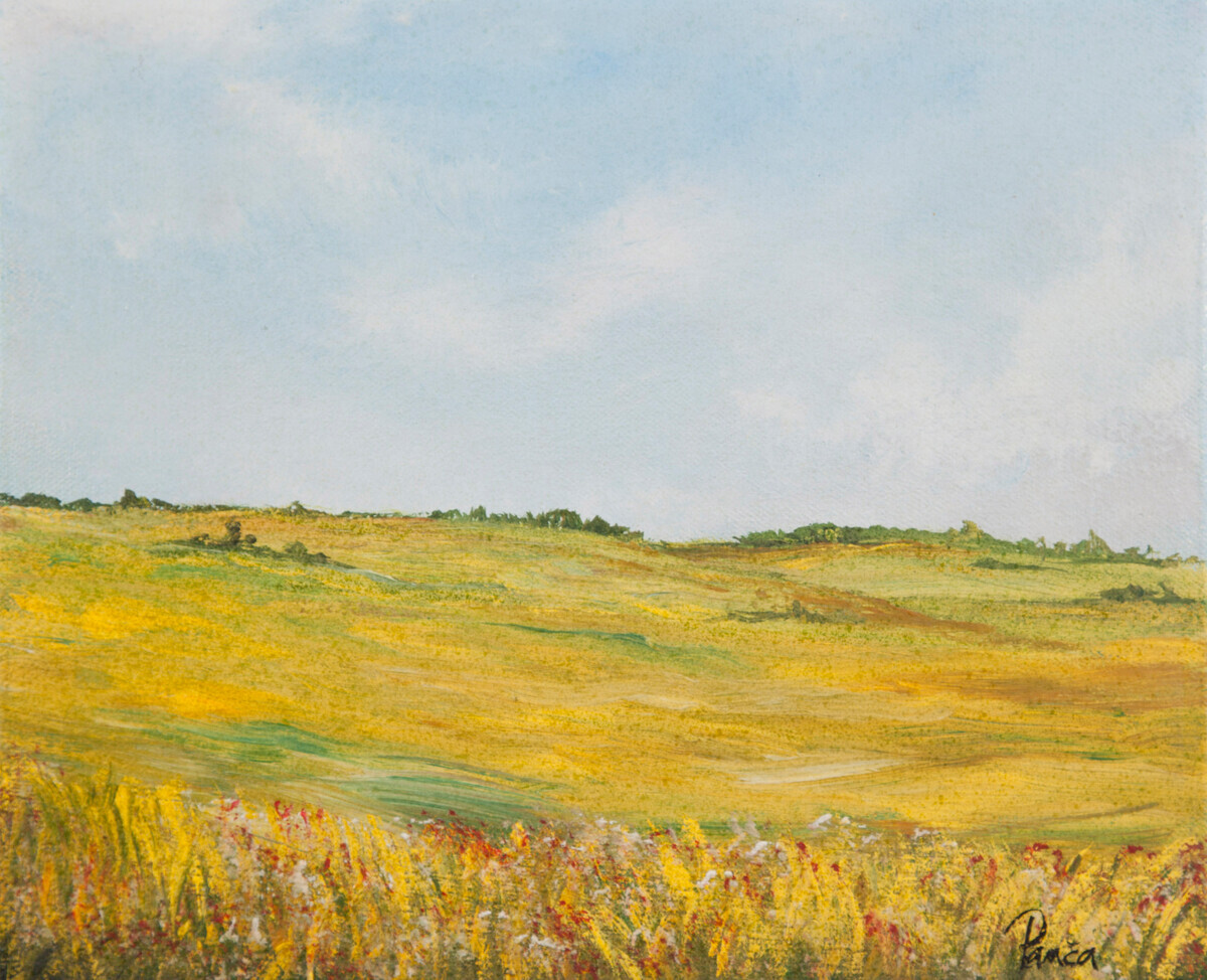 Golden meadow
