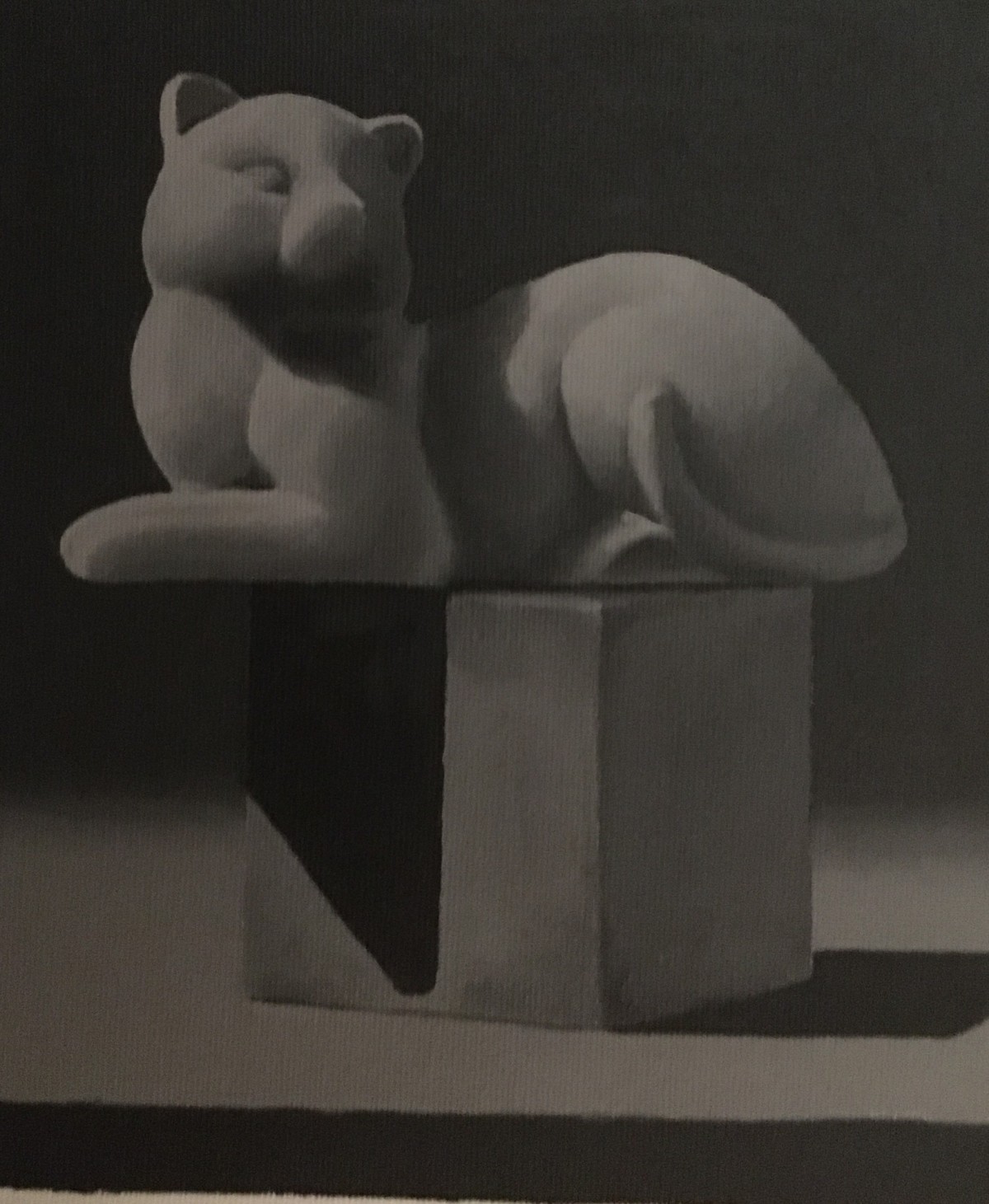 Cat on Cube