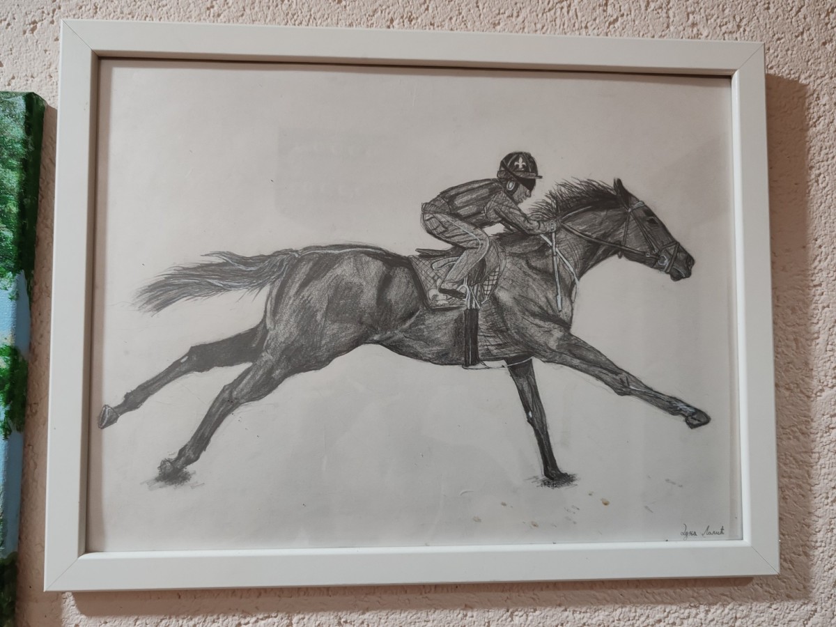 Horse at a gallop