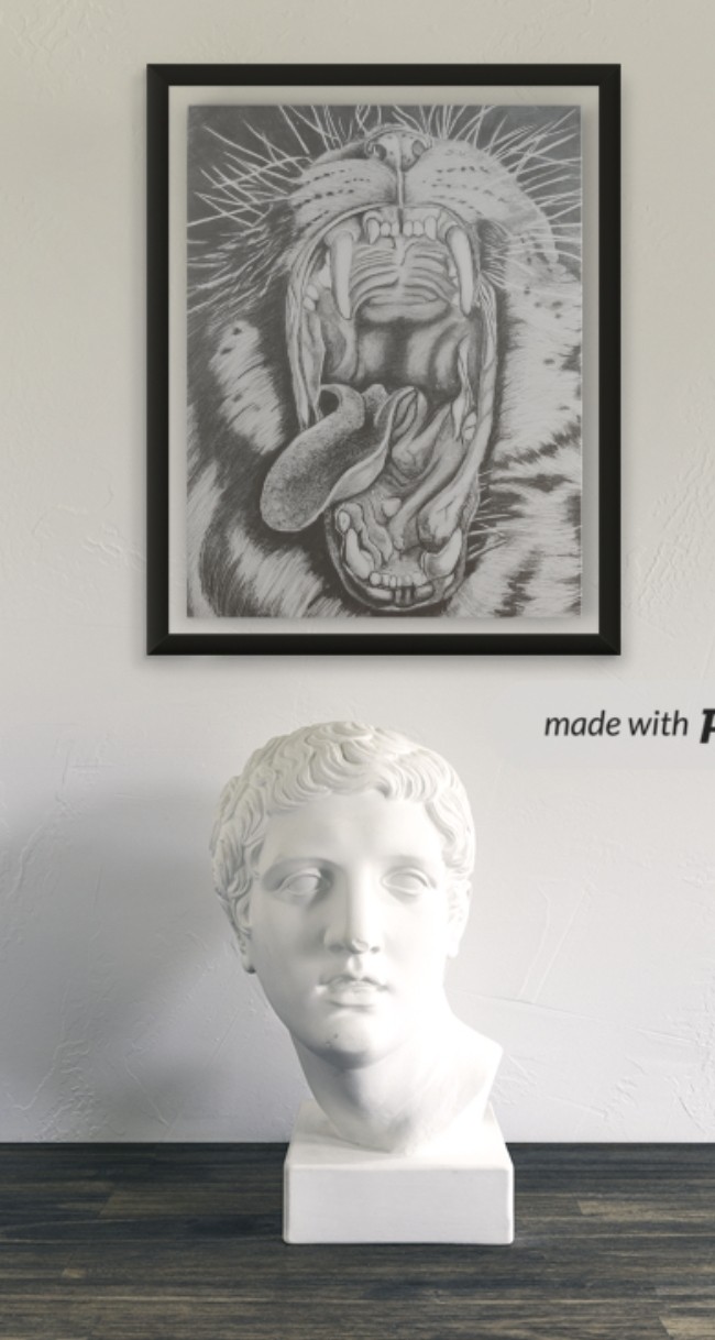 Drawing of a tiger