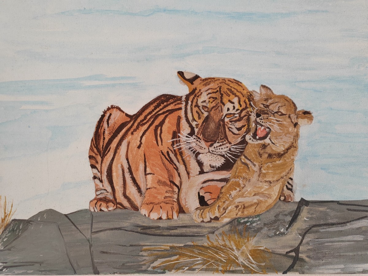 TIGERS