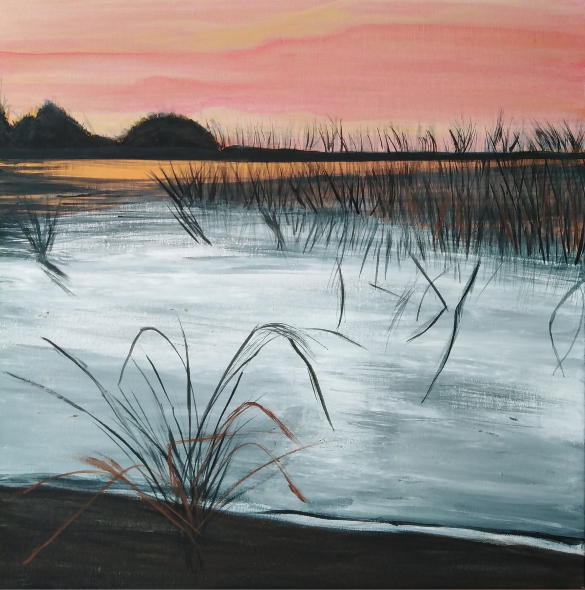 SWAMP
