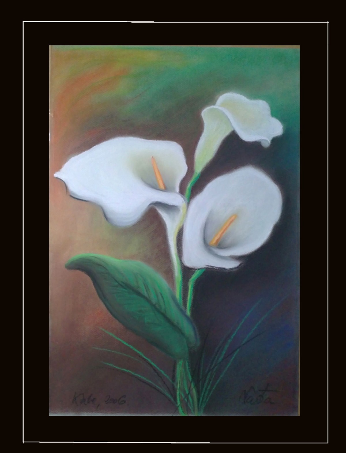 Calla lily