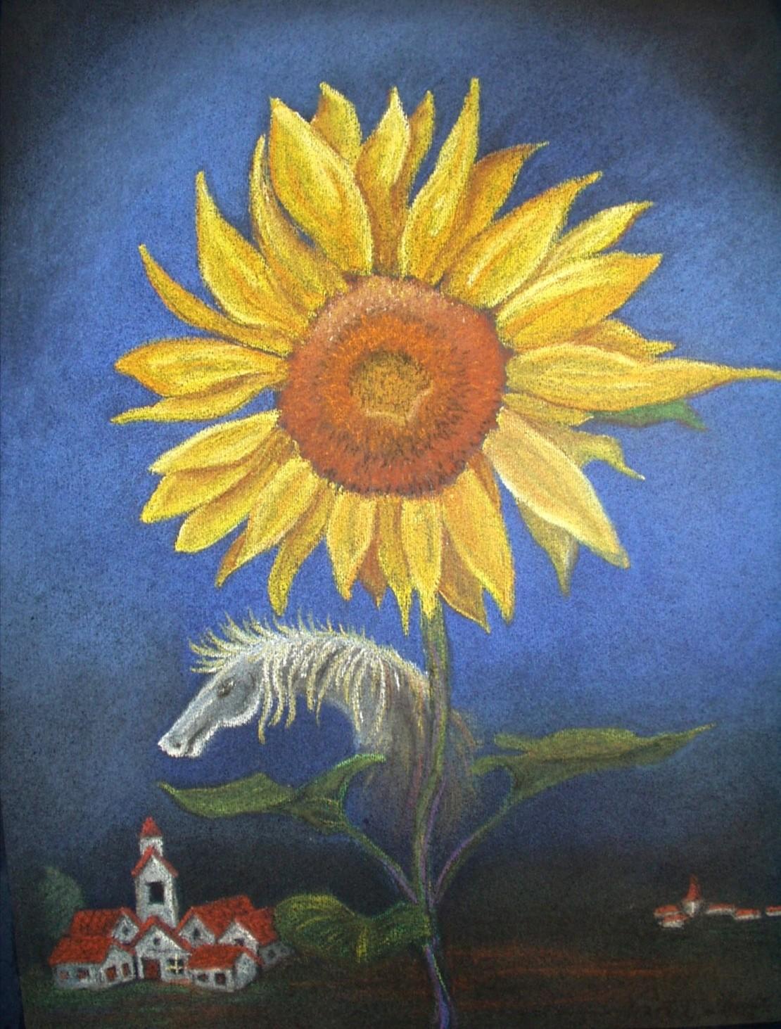 Sunflower 2
