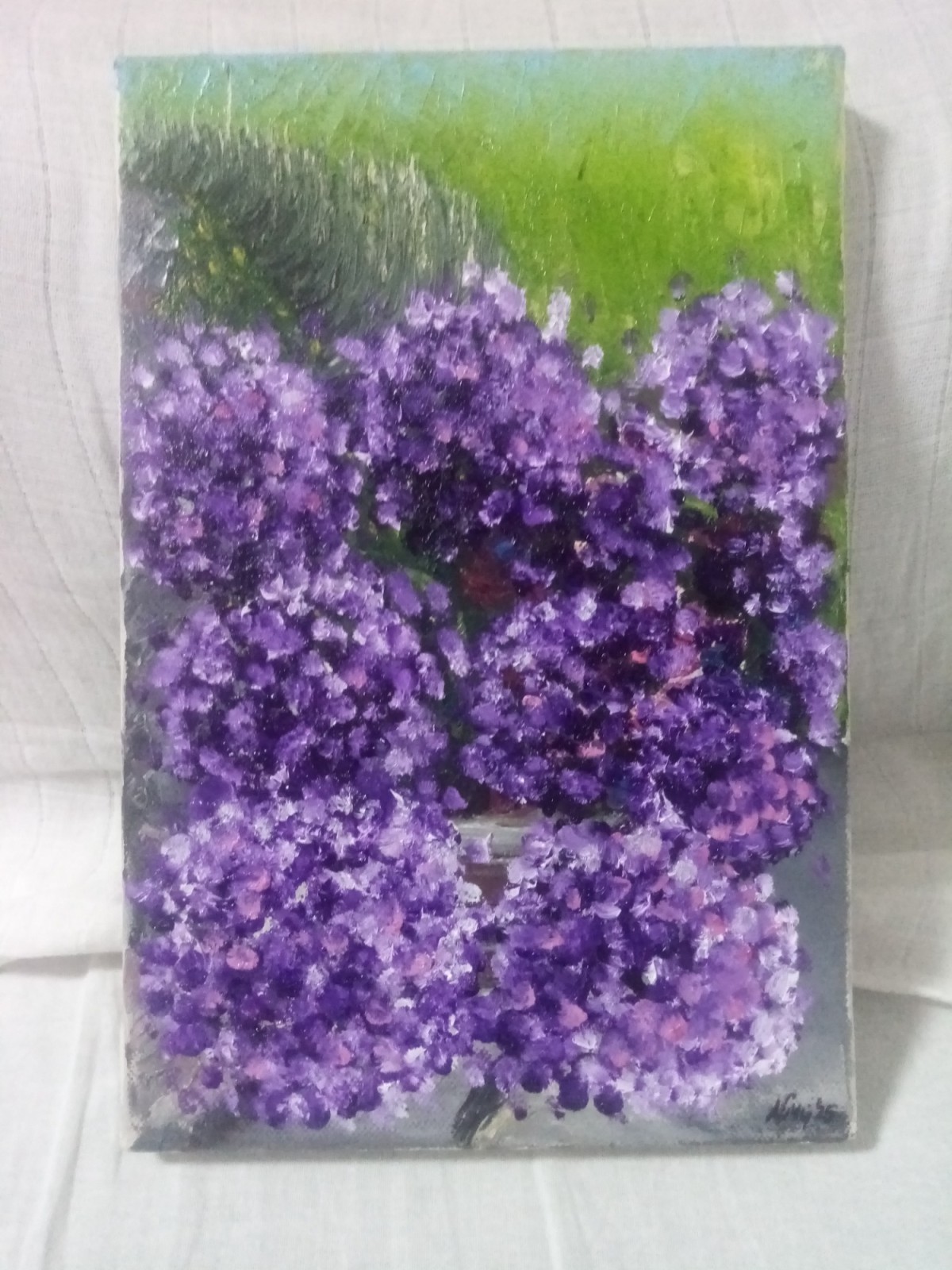 Hydrangeas  Hortenzije