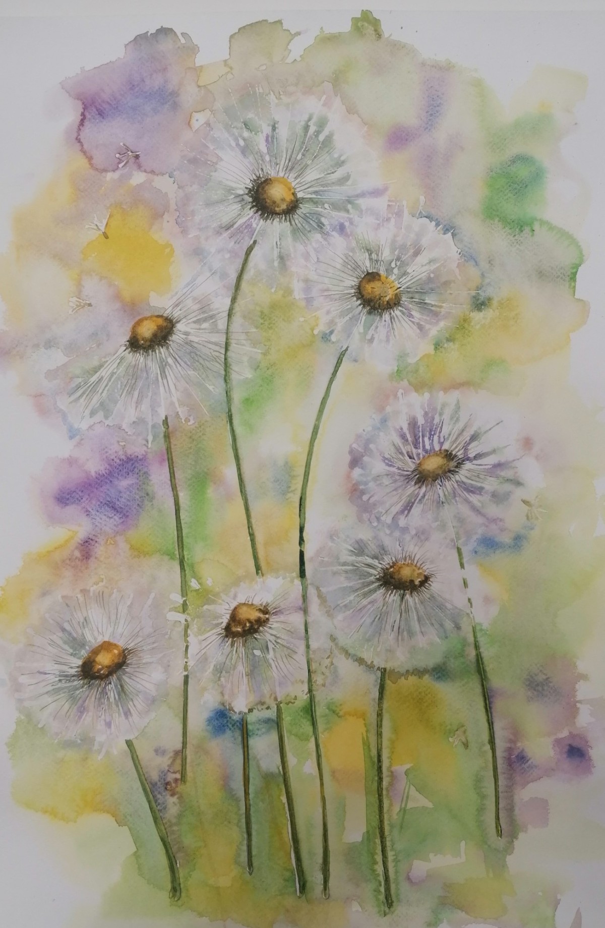 Dandelion