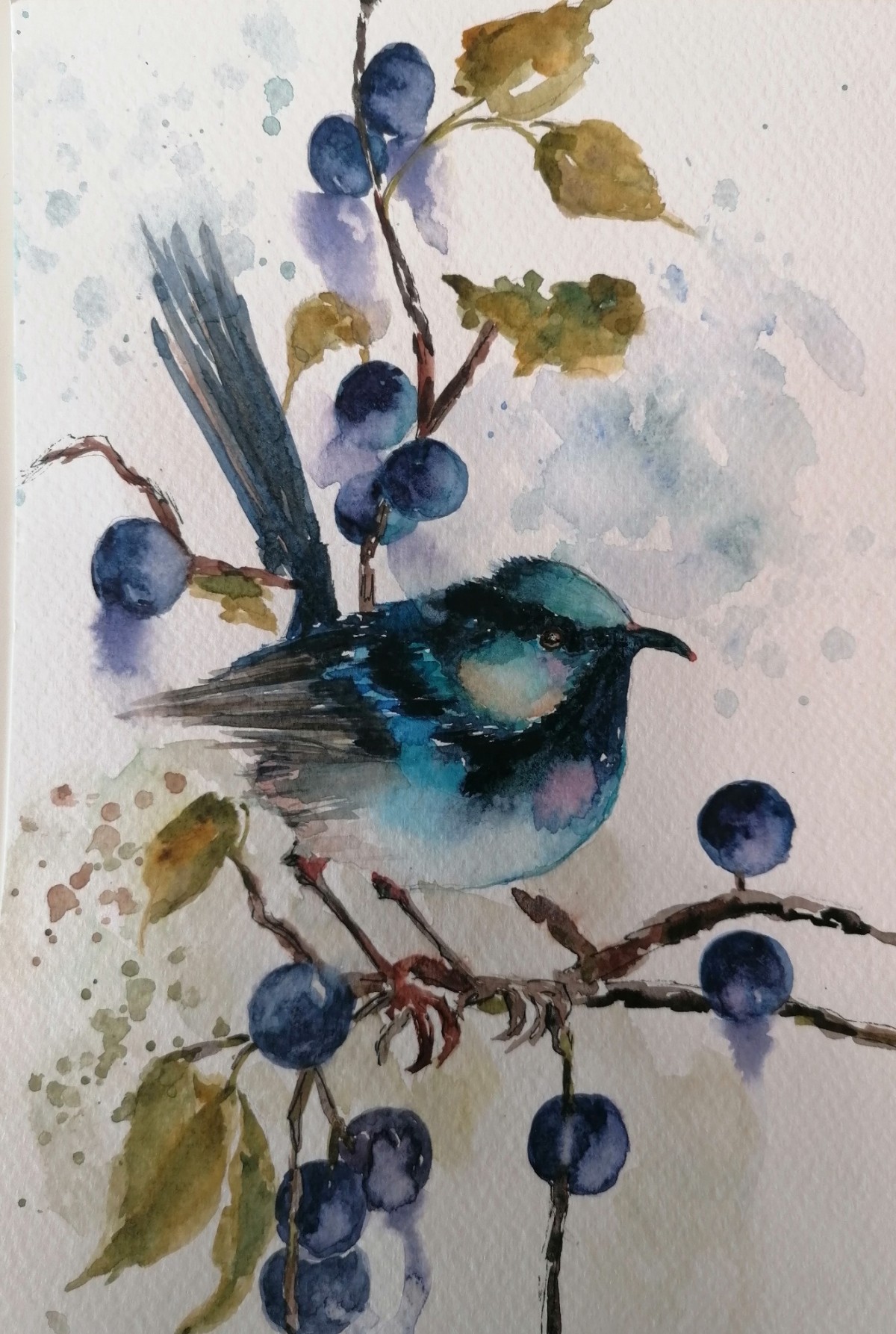 A bird