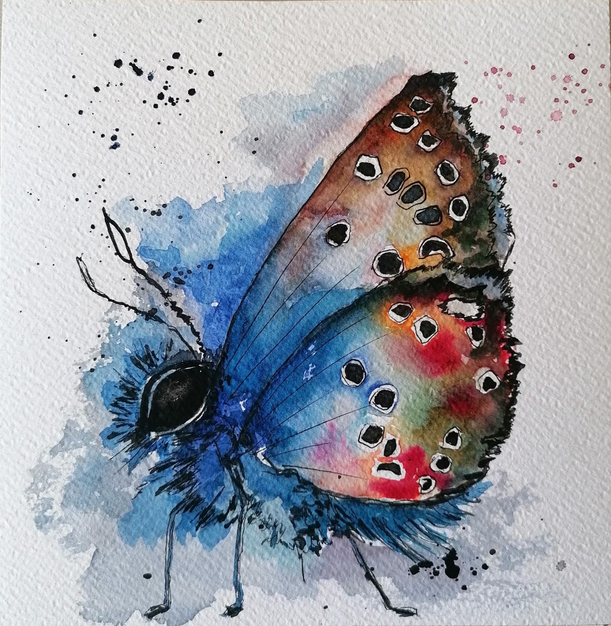 Butterfly