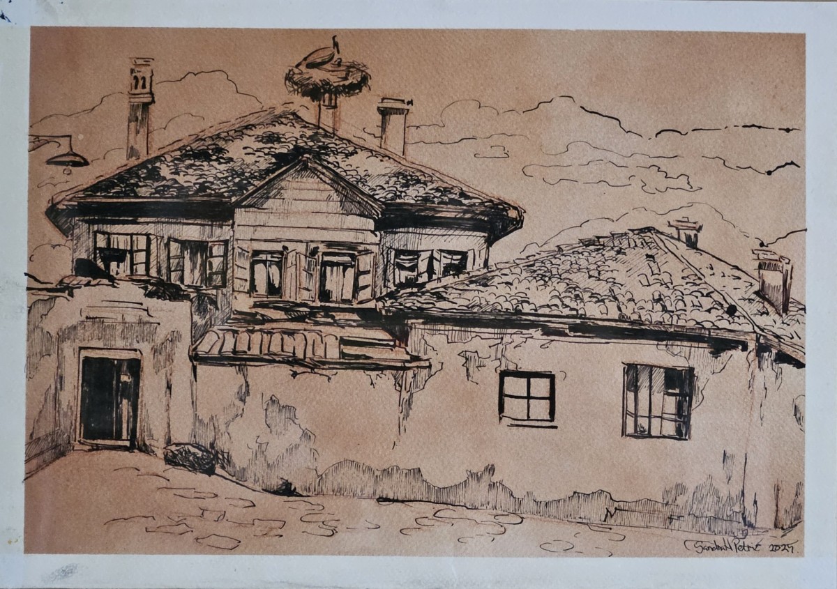 Stork on the chimney