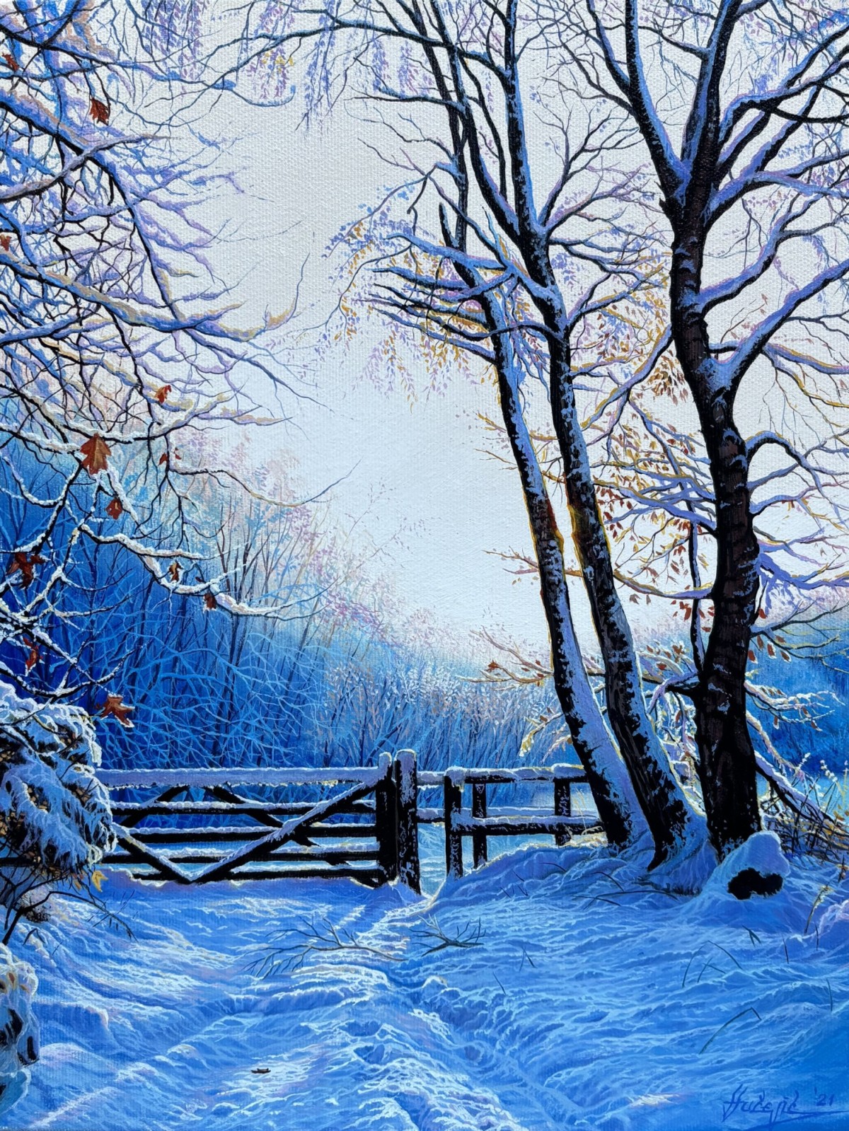 Winter fence