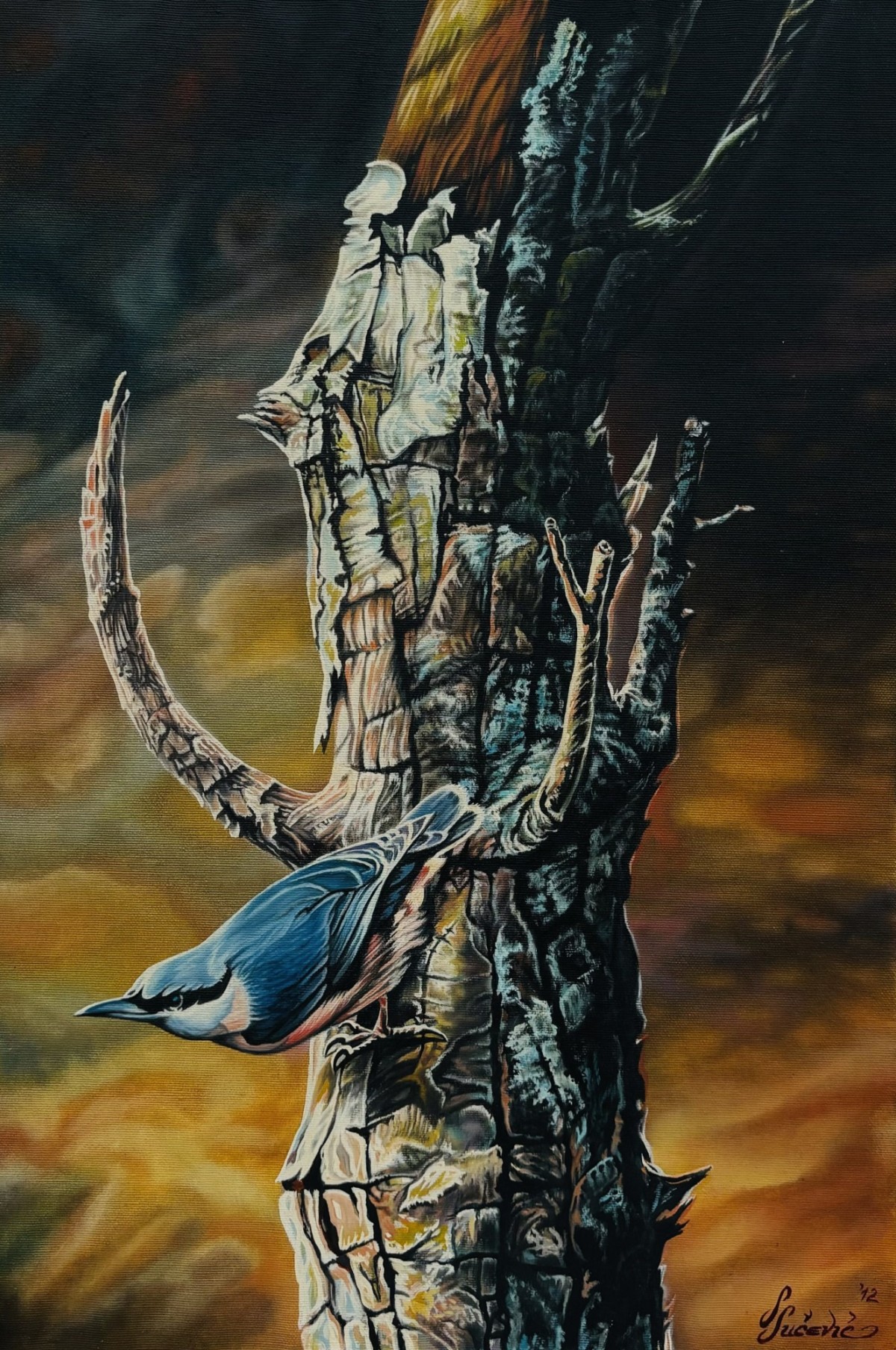 Little bird