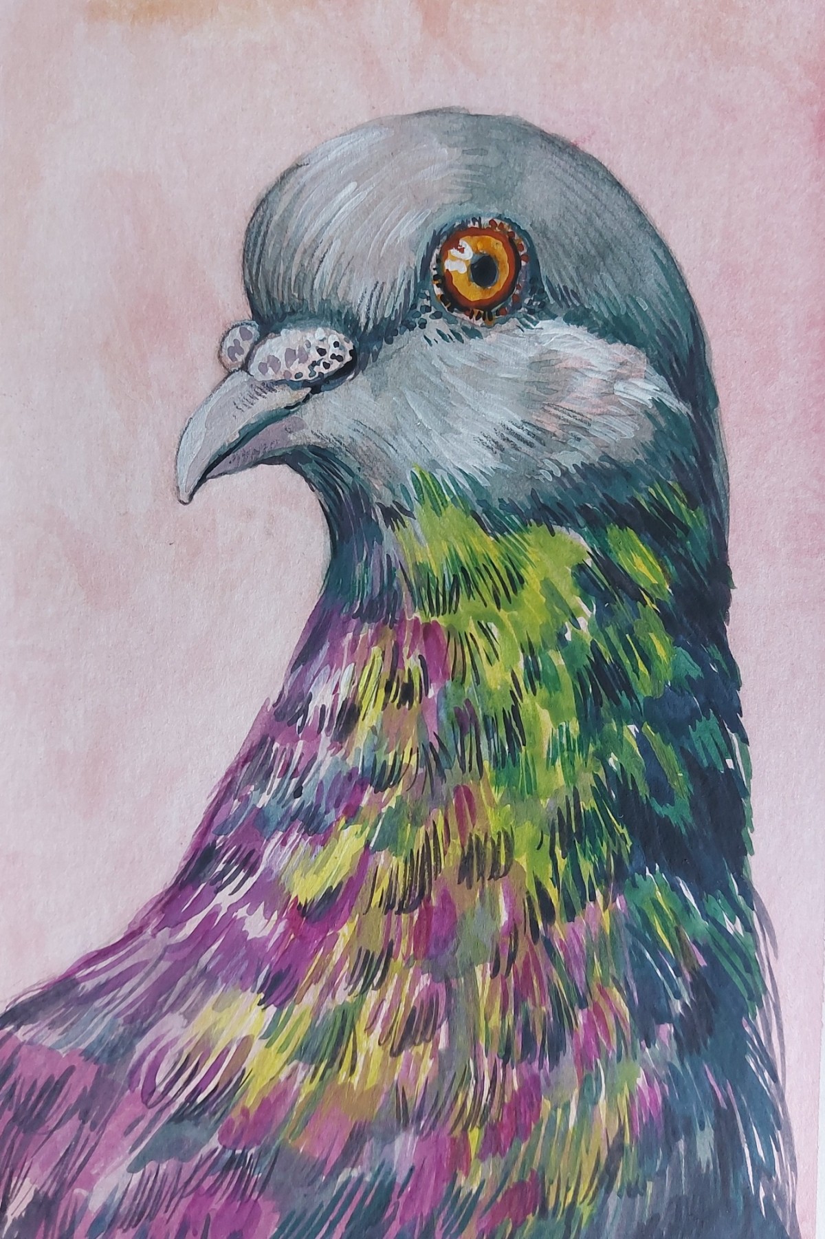 Bird