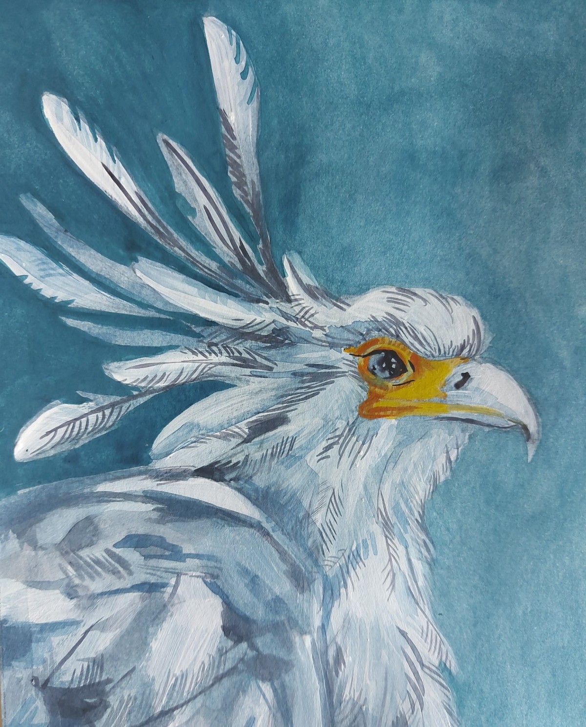 Bird