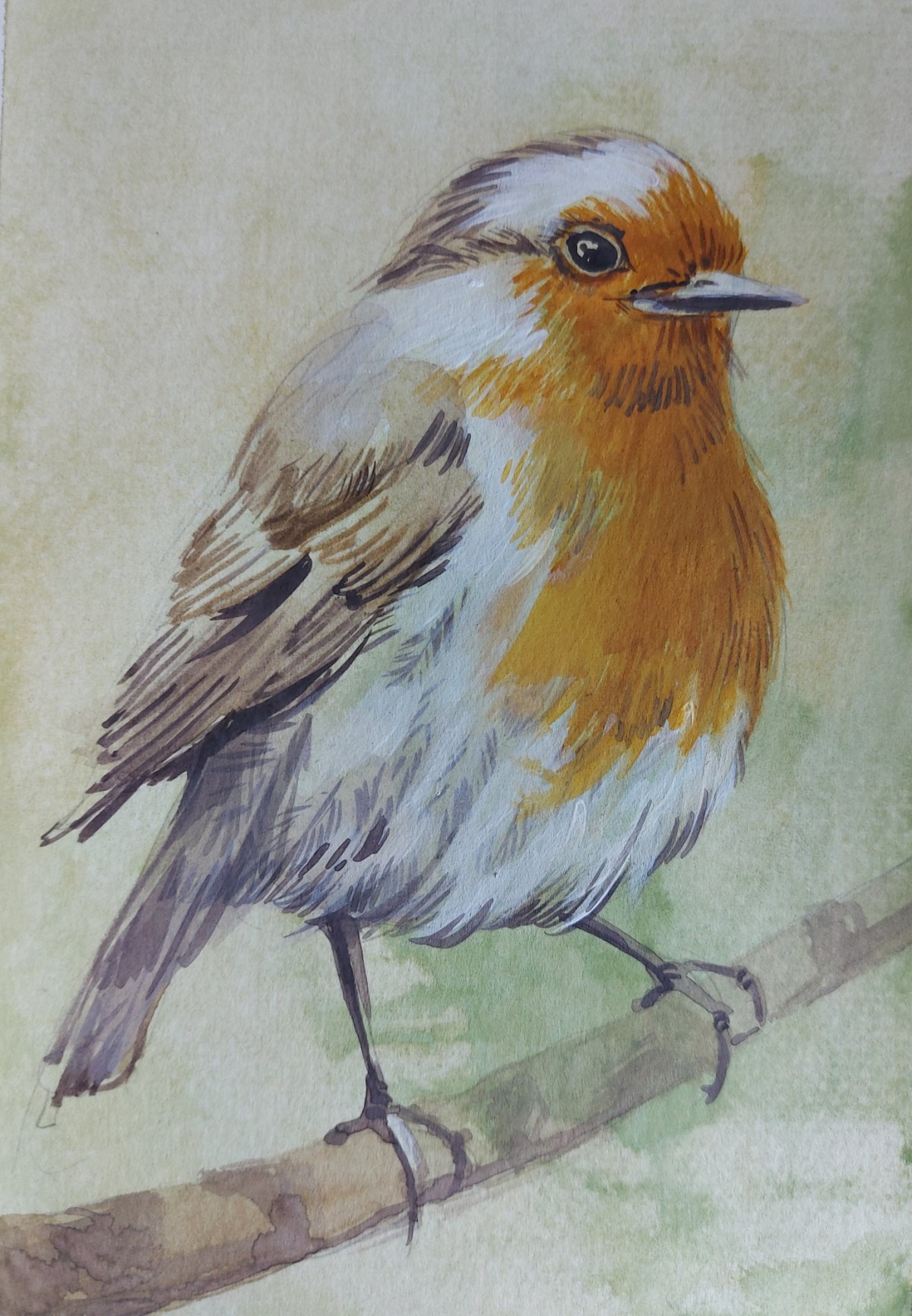 Bird