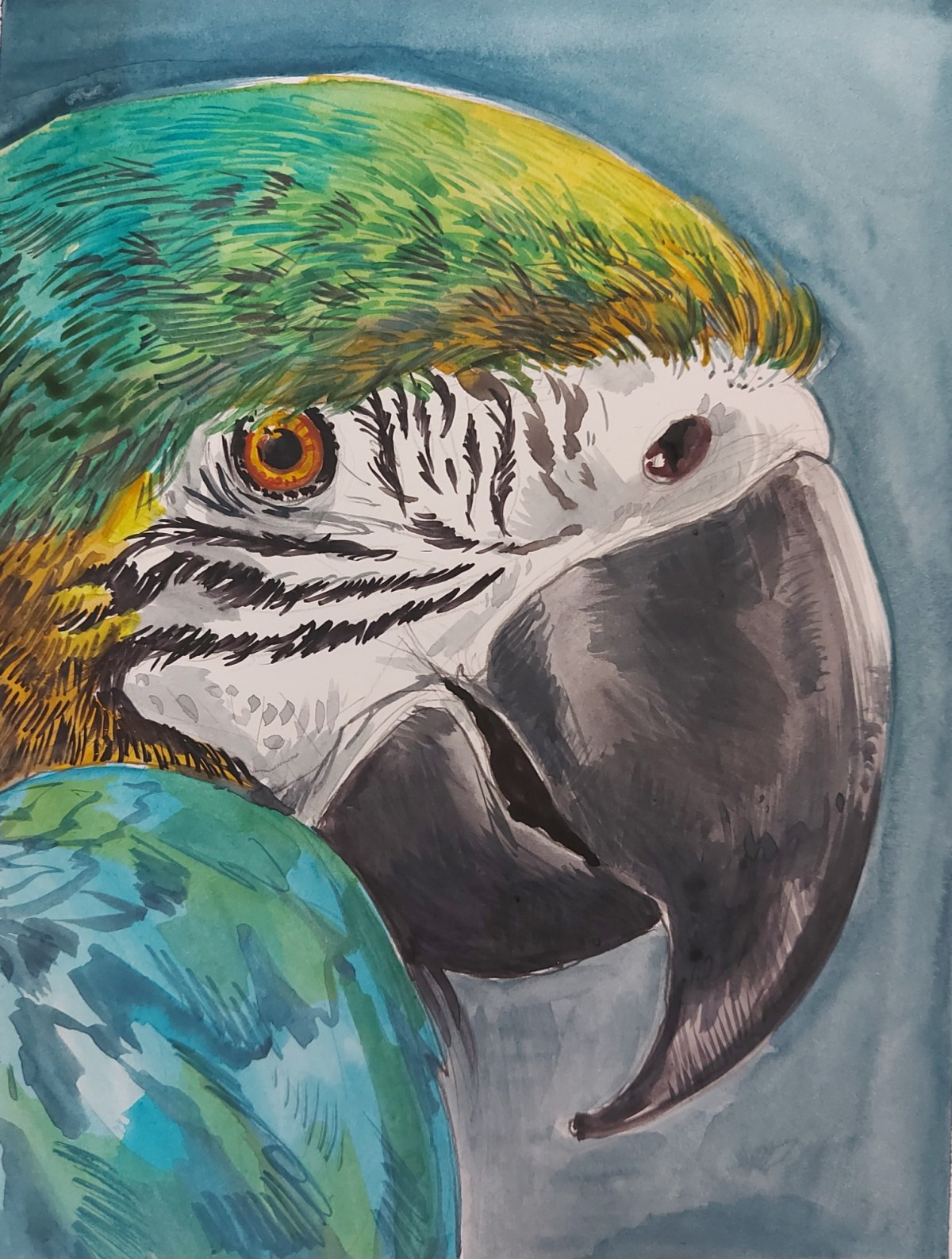 Bird