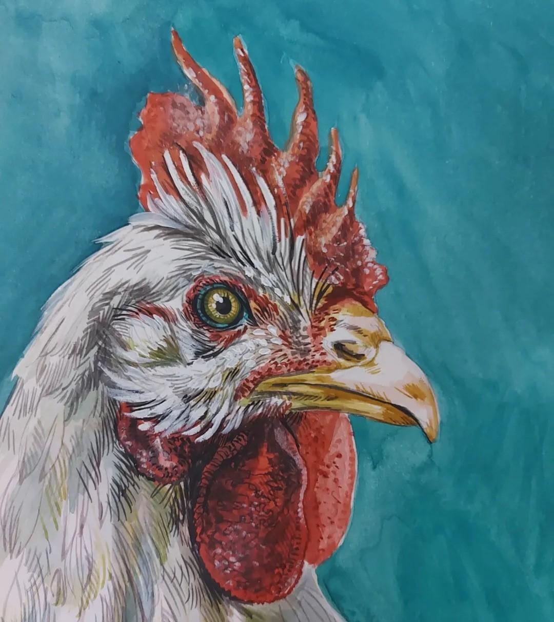 Rooster