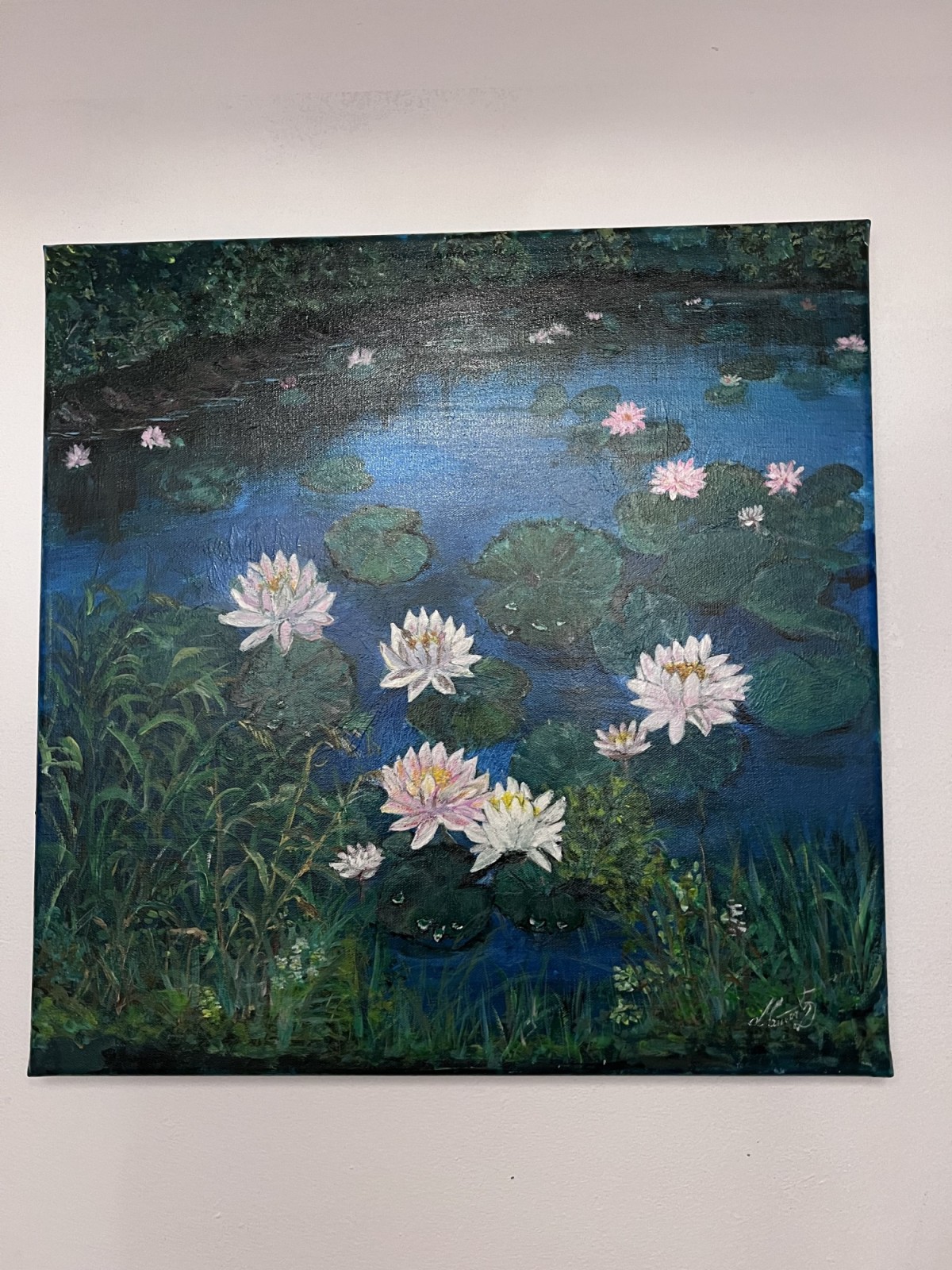 Water lilies