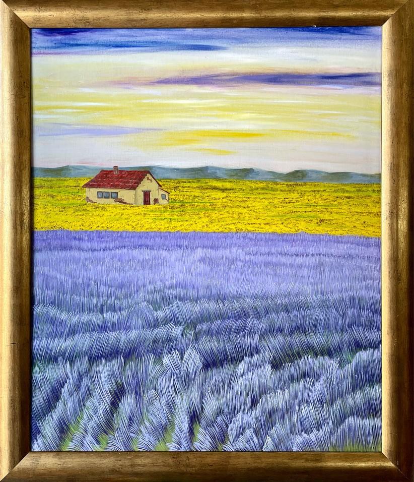Lavender field