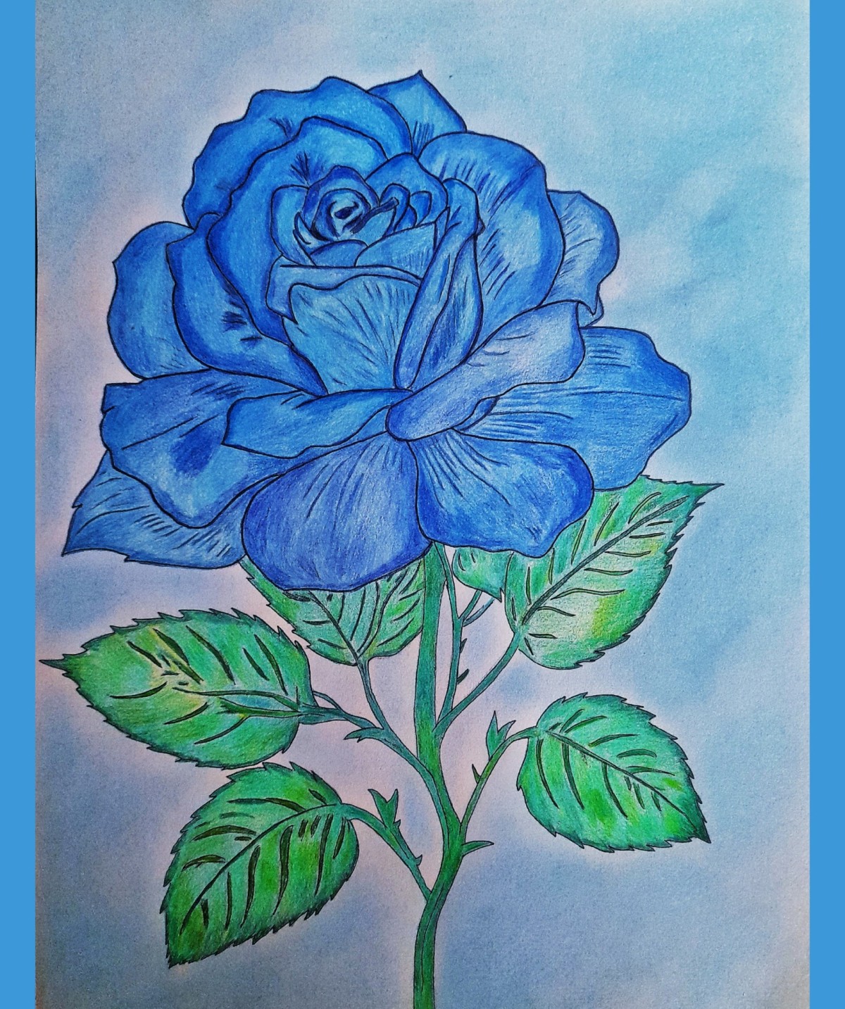 Blue Rose