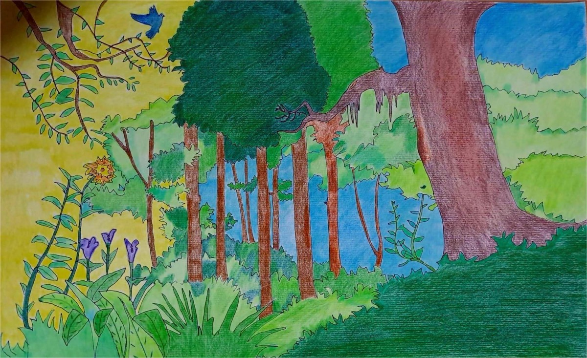 Forest landscape