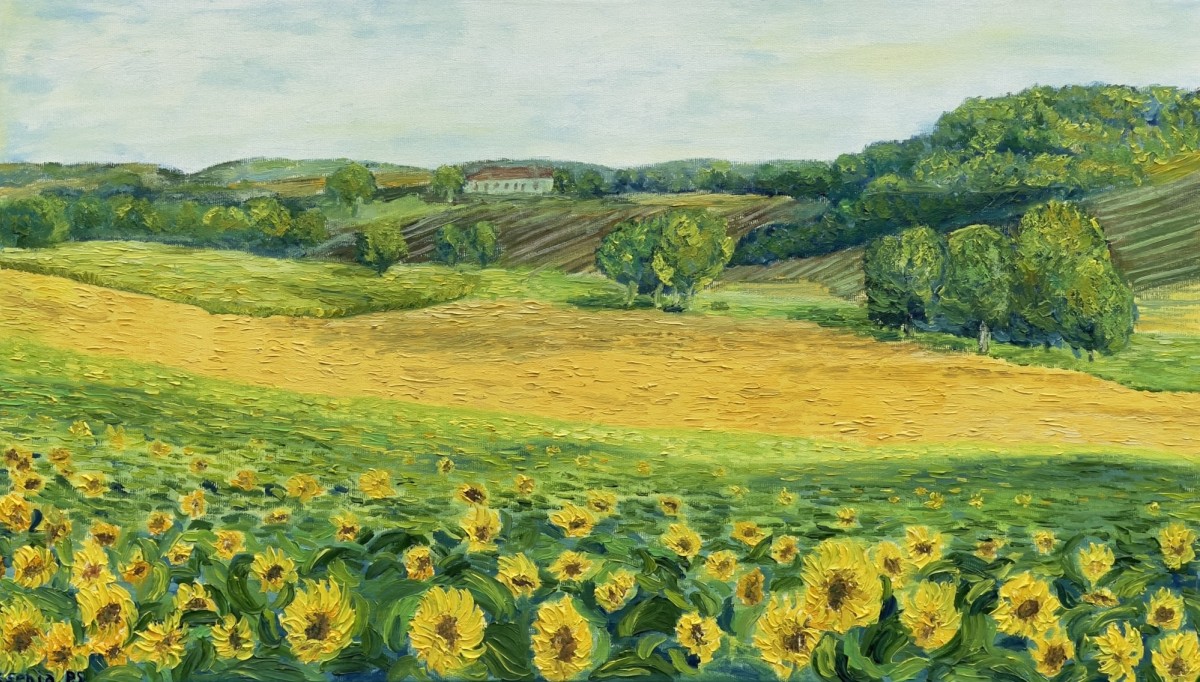 Solar fields